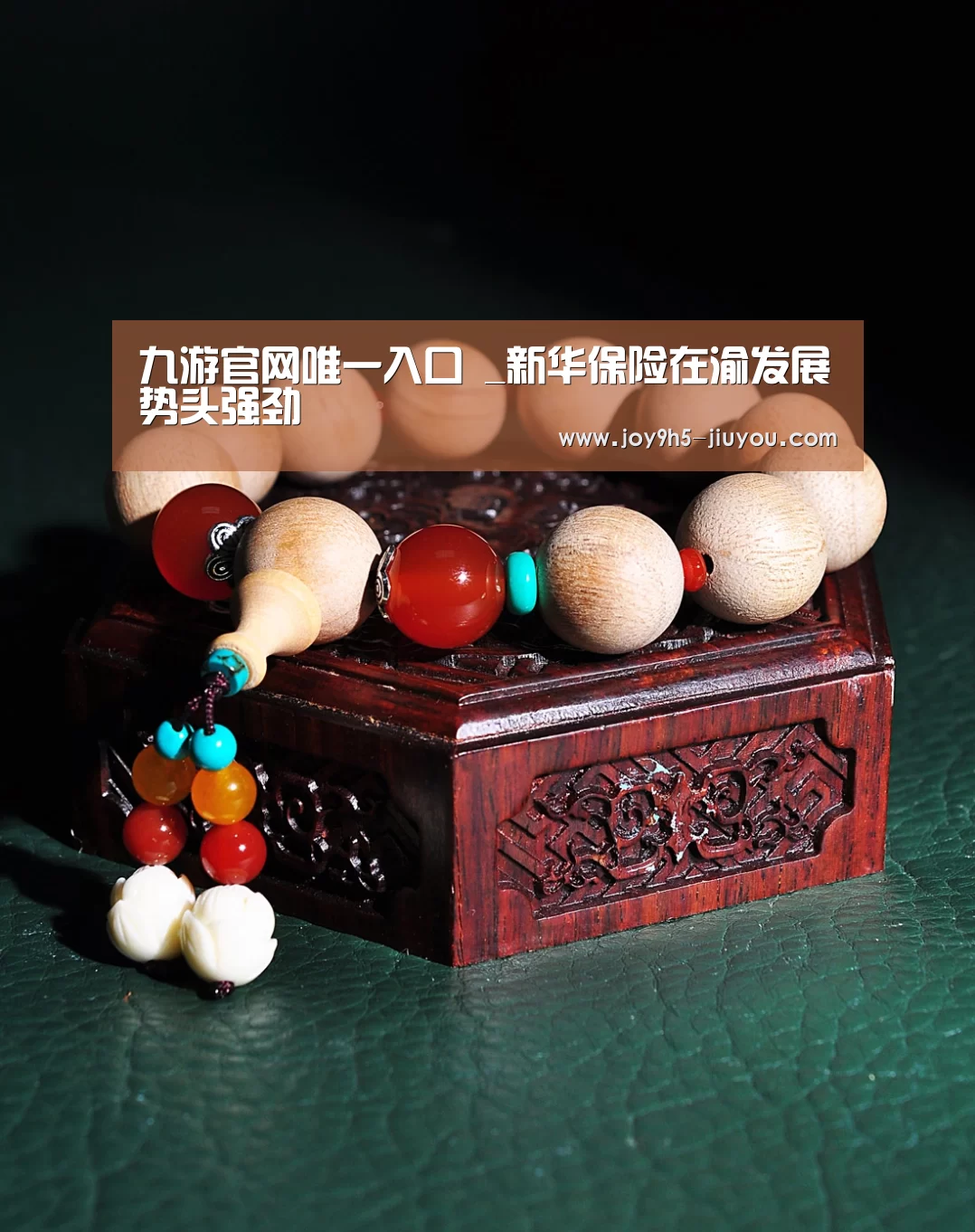 九游官网唯一入口 _新华保险在渝发展势头强劲(图1) 九游官网唯一入口 _新华保险在渝发展势头强劲(图1)