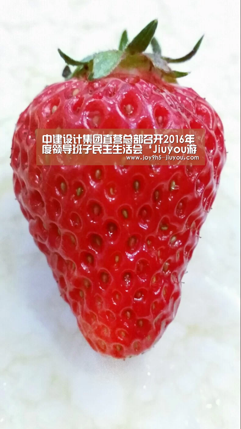 中建设计集团直营总部召开2016年度领导班子民主生活会‘Jiuyou游戏官网入口’(图2)